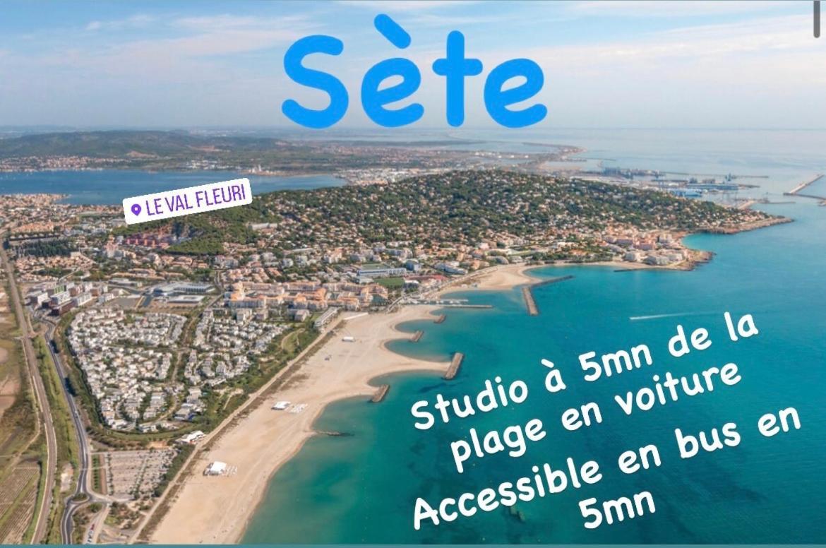 Magnifique Studio A Sete Proche Des Plages מראה חיצוני תמונה